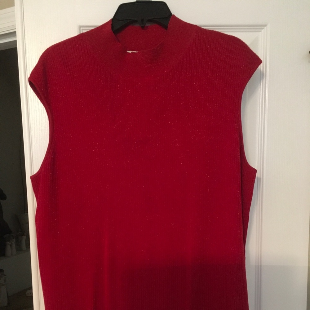 2 Cold Water Creek fake turtle necks.